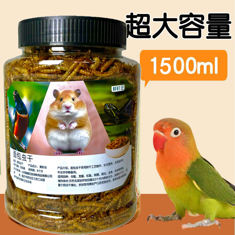 Hamster Mealworm Starling Mealworm Koi Snack Mealworm Dried Finch Parrot Cockatiel Budgerigar Bird Food Feed