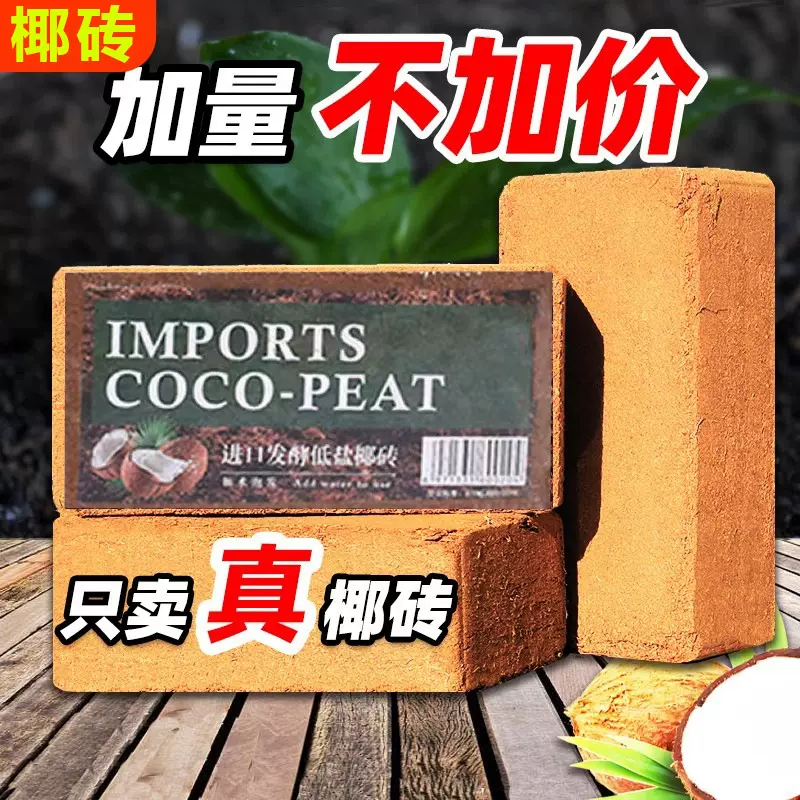 椰砖爬宠寄居蟹专用乌龟仓鼠垫料椰糠苔藓冬眠用品爬虫保温保湿土