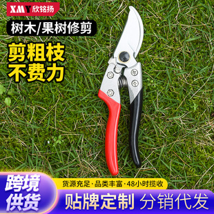 ؛Դ����������֦����֦��@ˇ��ˇ������ľ��֦��ʡ���@�ּ�����