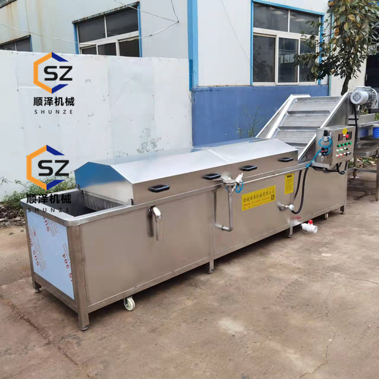 供应西红柿气泡清洗机 葡萄蓝莓清洗机 高压喷淋蔬菜清洗设备