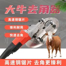 늄ӴţȥʿȥţǼ~늙CƬƬȥ