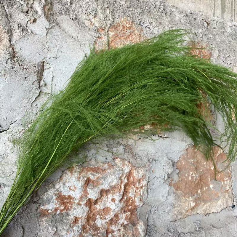 草绿约100克/把