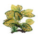 Aquarium Fish Tank Landscape Water Grass Decoration Simulation Plastic Lotus Fake Water Grass Simulation Plant Sand Table Ornaments Wholesale