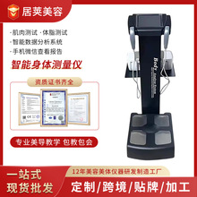 �߾����w֬��body�w�y�x�����w�سӟo���������w���w�ɷַ����x