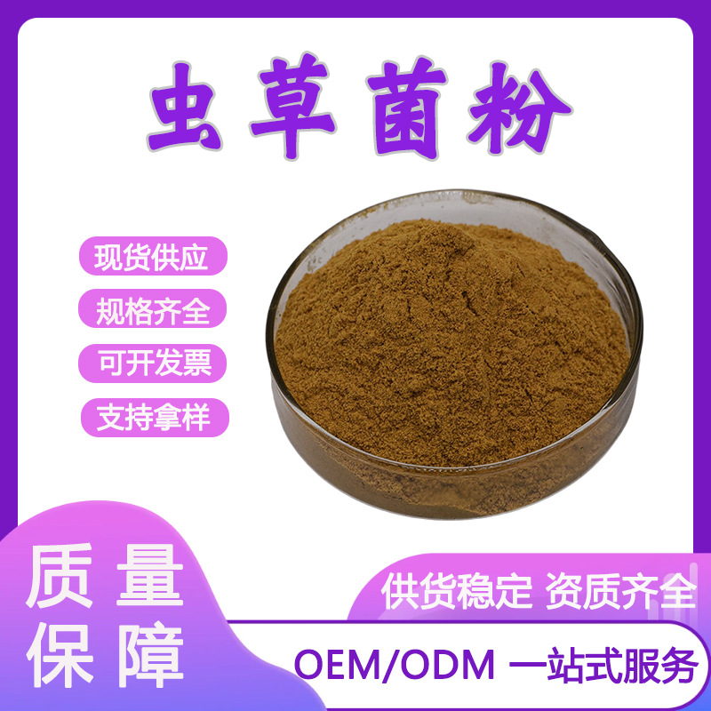 发酵虫草菌粉99% 蝙蝠蛾拟青霉菌粉 CS-4 虫草菌粉 虫草菌丝粉