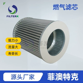 燃气滤芯 菲澳特克 G445 不锈钢天然气管道过滤器专用工业滤芯
