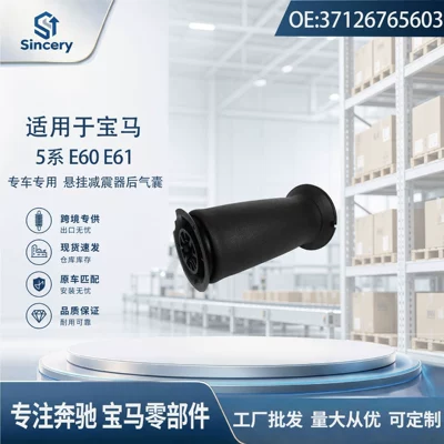 Suspension and Shock Absorber Systems E60 E61 rear air suspension