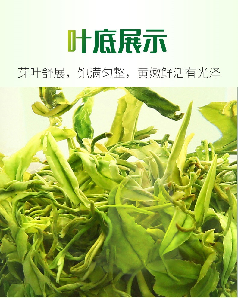 明前高山云雾绿茶 2022年早春新茶日照炒青绿茶 散装500g批发茶叶详情23