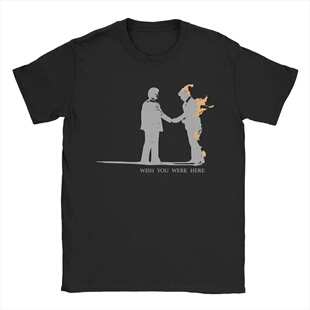 ƽ��&middot;�������£�Pink Floyd��ϣ�������@�����H��HT���OӋ