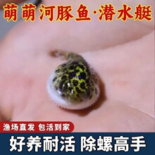 �����^�p�~��ˮͧ���w��ˮ�~�Ꭷ�~���^�~���ތ����~������~