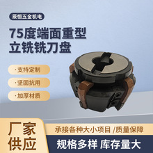 �S�����l75�ȶ����������㊵��P GMA125 160 200 250���T㊵��P