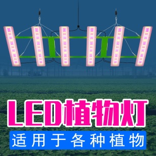 Cross-border hot-selling led plant growth light full spectrum octopus plant light plant fill light flower seedling