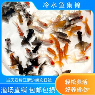 ��ˮ�~�\���~�^�p�~С�͵�ˮ���B�ͻ���ˮ�~������С���~���B�ͻ�