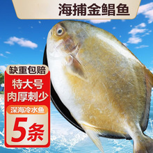 �ش�̖���r���K�~����~�K�~�����~�����~�������l�r