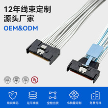 ���Q�C��y�������ɔ_Slimline SAS MCIO 74P�����������D�Ӿ�
