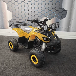 Dörd təkərli off-road mini Bull Atv 125Cc benzin modeli, böyüklər və uşaqlar üçün