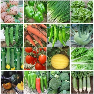 M؛߲˷NӴǫ̈̄ͥԺļ˷S