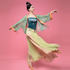 New Song Dynasty Style Modified Dance Costume Set Loose Summer Tank Top with Elastic Waistcoat Long Skirt Classical Dance Costume