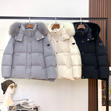 2025pra�Ҷ����¿��ë�I��q��Ů����ë�������Q������F؛���l