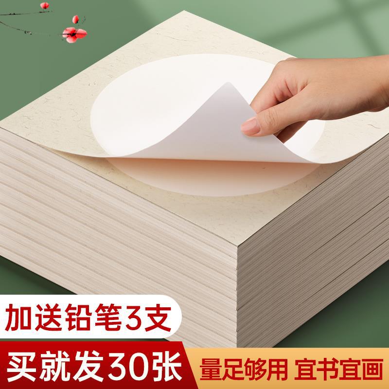 磁武加厚国画卡纸生宣熟宣半生熟镜面宣纸作品书法工笔毛笔美术正