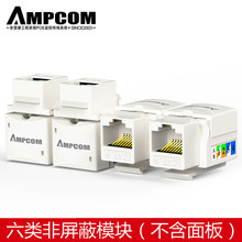 ���տ�AMPCOM�������ǧ�׾W�jģ�K���CAT6A5�W�������W�j������