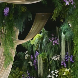 ����Gֲ�����W�t�J���ݷ��滨��Y��ɭϵ�����~�Ļ�c�Y�õ��