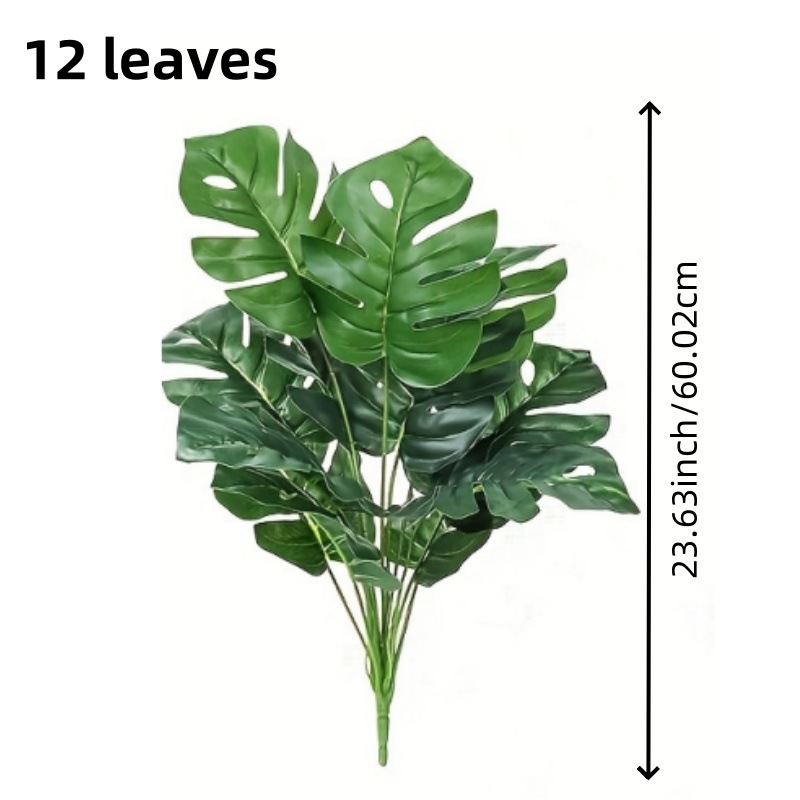 12잎 몬스테라