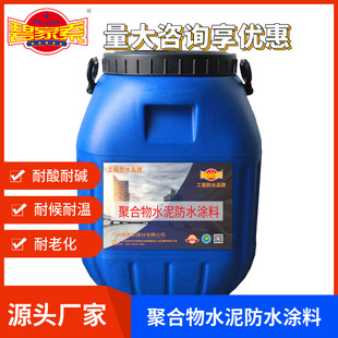 JS polymer cement-based waterproof coating polymer two-component blister-resistant bathroom waterproofing