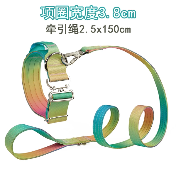 Purple green orange suit [collar 3.8cm + traction rope 2.5x150cm]