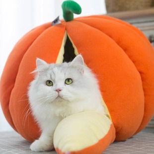 �Ϲό���C����؈��؈���Ӷ��������ﶬ��؈��C�Ӻ�ů؈�C���C