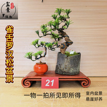 _h辰ԺBֲ҃ȿ͏dk̨Gֲ՚⻨