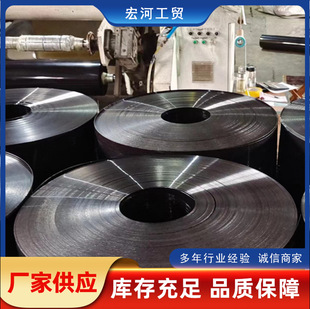 Black Pet Double-Sided Light Black High Temperature Resistant Pet Coil Color Specifications Can Be Customized