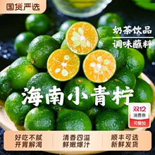 ����С���������rС���������Ƥ������ˮ��5������̲��؛