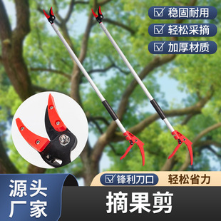 摘果剪刀果树修枝剪伸缩摘果器香椿剪园艺高枝采果剪摘果神器批发-阿里巴巴