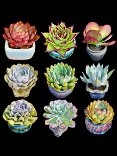 ����^��Ӱ�|�ʯɏ�����Ӷ���ֲ�����ֺ��Bˇ�c������]���¶�B