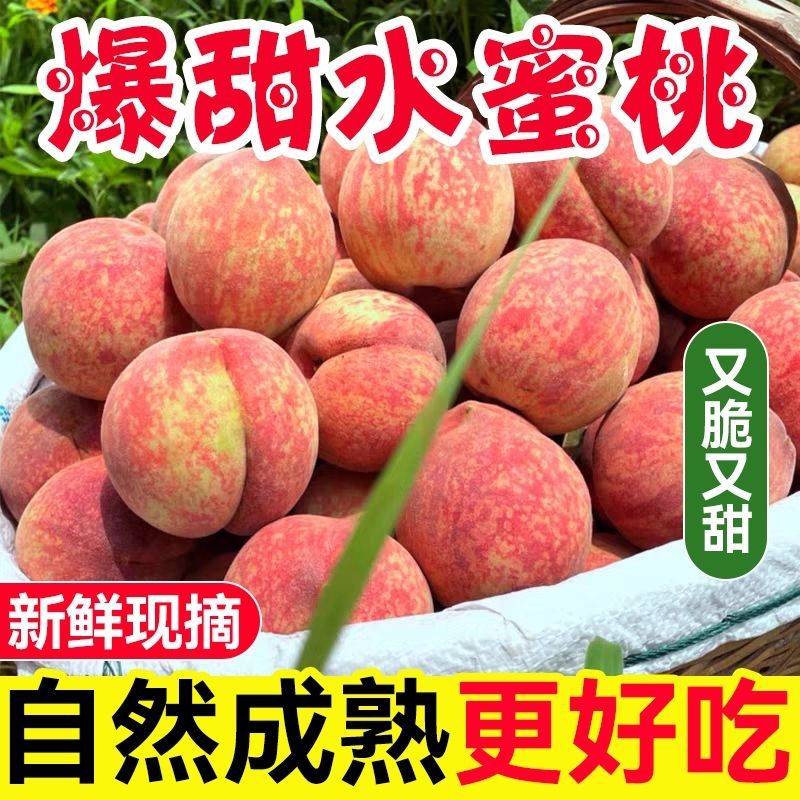 핫 세일: 2.5-3kg개들이 풀박스 [빅 과일] 크고 달콤함