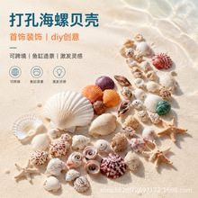 天然打孔贝壳海螺手工diy创意玩具鱼缸造景装饰材料天然配件海星