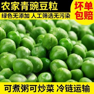 ���r�㶹���ك����㶹���ඹ������㶹���ඹ���߲������㶹2��