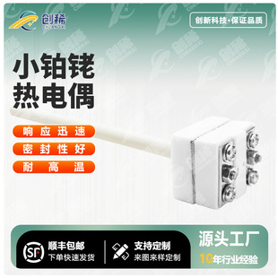 WRP-100����С�K㙟��ż S��/B��R�ͷ���̽�^�������ߜ��R���t�