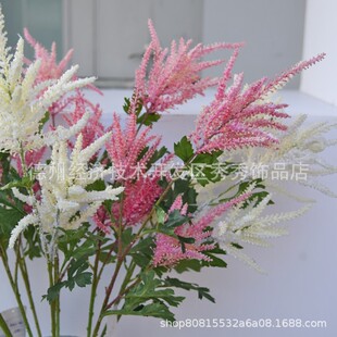 ���Q�������D��֦���^  �����b�����c�ٻ���ɫ�҃ȿ͏d�廨