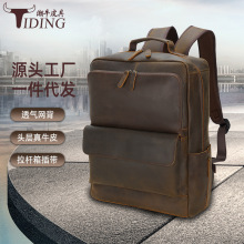 TIDING��ţ�羳�^�ӯ��RţƤ17����������e���Б����p�米�����l