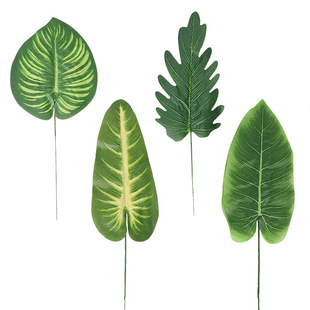 �����Ƭ���~ �����ğᎧ�Ɍ��b廨��� �����zӡ���˽�