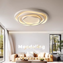 极简中山全客厅灯圆形吸顶灯现代简约光谱灯具玫瑰花新款大气2025