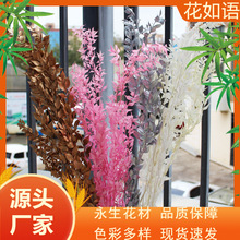 ����������DIY���Ͻ�ɫ�yɫ���F�~�������Y�в����ֻ��h���� �ɻ�