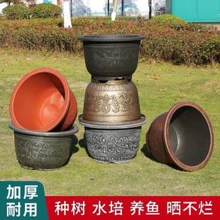 ���ϻ���Ӻ����Ñ���ͥԺ�����F�䌣�����̖�ش�˯ɏ�ɻ��B�~��