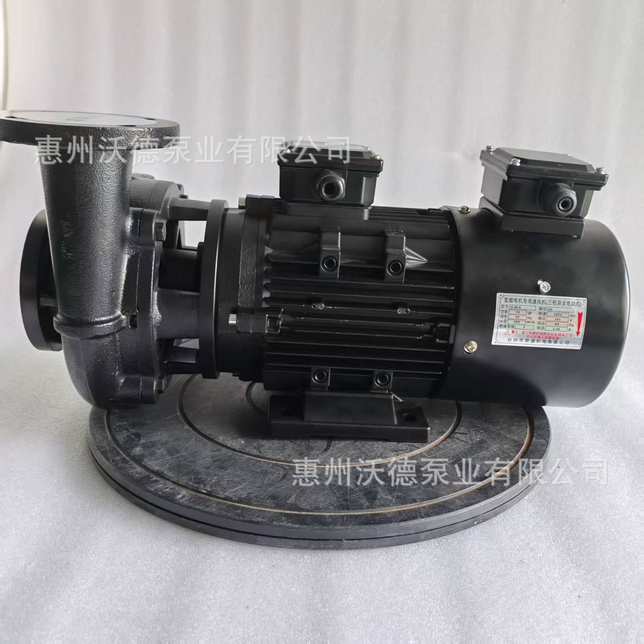 变频电机导热油导热水高温200度离心泵 冷凝水回收冷热交换增压泵