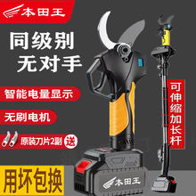 ���ڵ綯��֦��������֦�������ʽ����﮵�԰�յ����֦