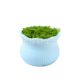 Source Factory Plastic Flower Pot Pattern Macaron Color Diy Wool Crocheted Twist Rod Ornaments Mini Small Flower Pot