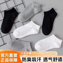 Ůɫmкڰ׻ͲmӺů\LͲml