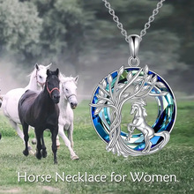 2024�¿�羳�W������L�����E�R�A�h������r����Ůʿ������